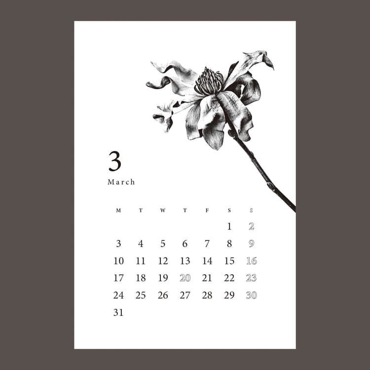 Botanical Calendar — image 4