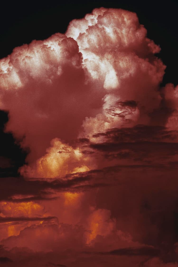 Kinoko no Kumo - 1  — image 1
