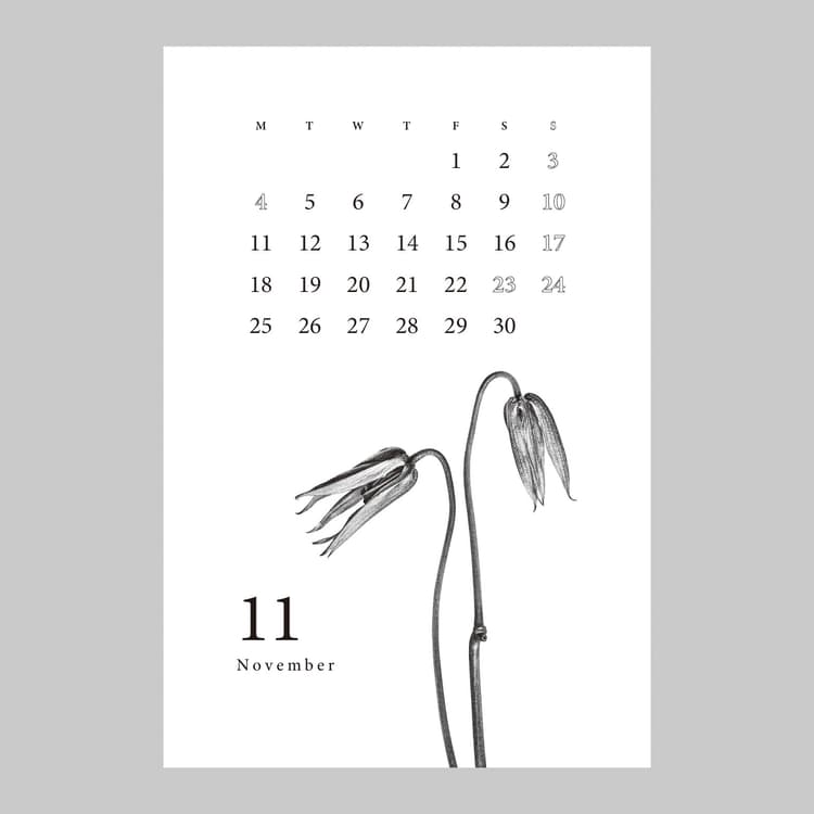 Botanical Calendar — image 2