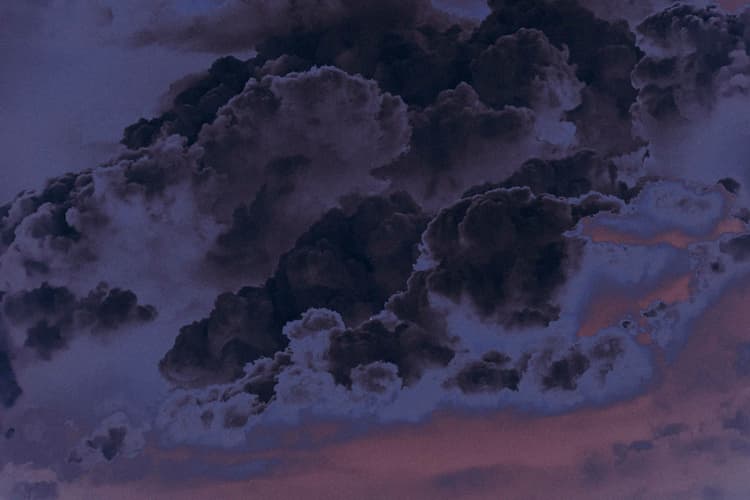 Kinoko no Kumo - 1  — image 4