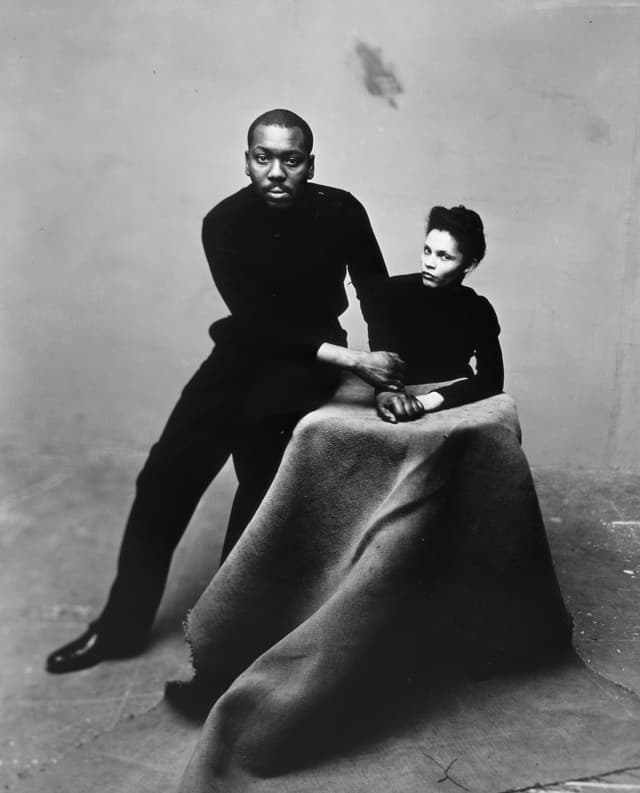 Irving Penn  (43)