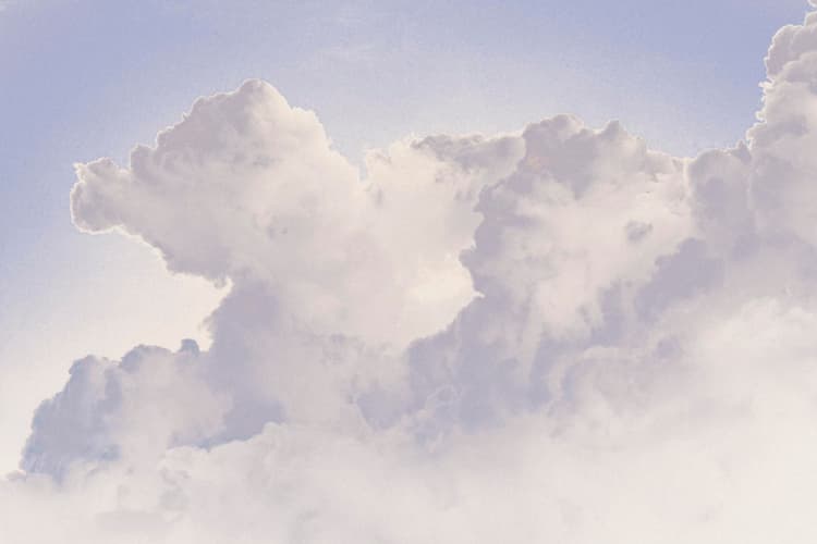 Kinoko no Kumo - 1  — image 3