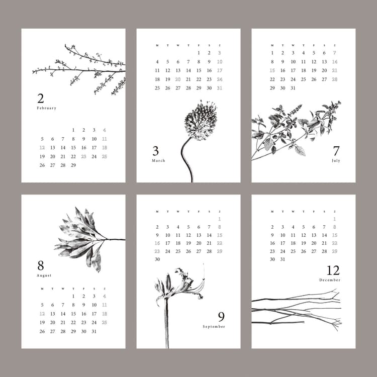 Botanical Calendar — image 5