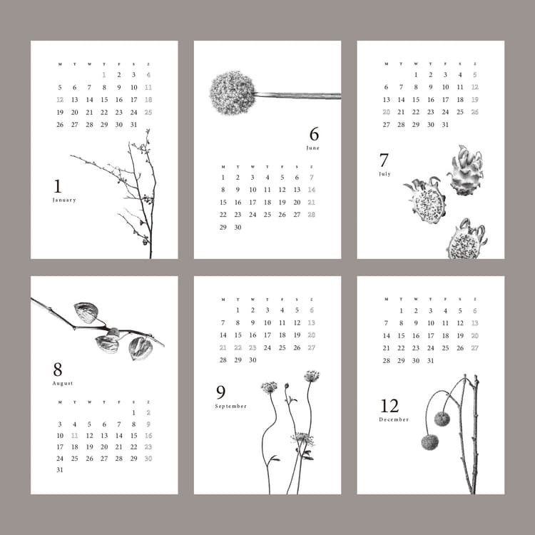 Botanical Calendar — image 3