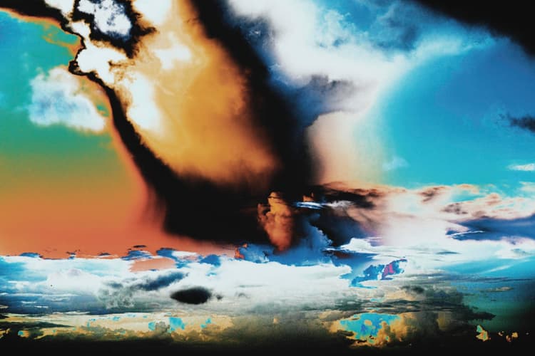 Kinoko no Kumo - 1  — image 2