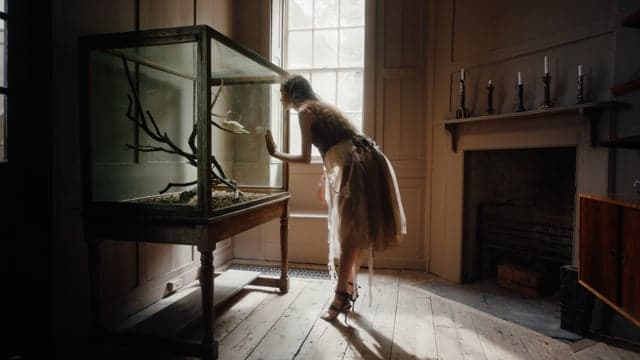 House of Unending | Fashion Short