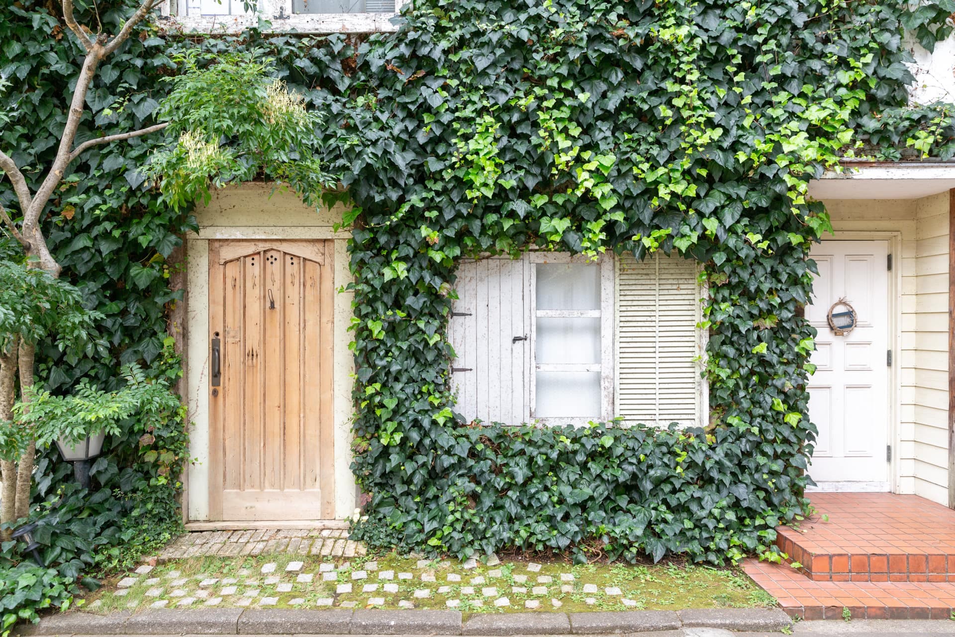 mimosa house country
