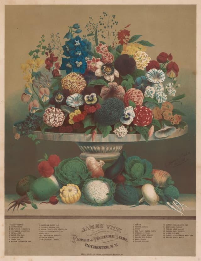 Vegetables arranged like jewels. Food campaign with no plates, no table, no hands. Just the hierarchy.